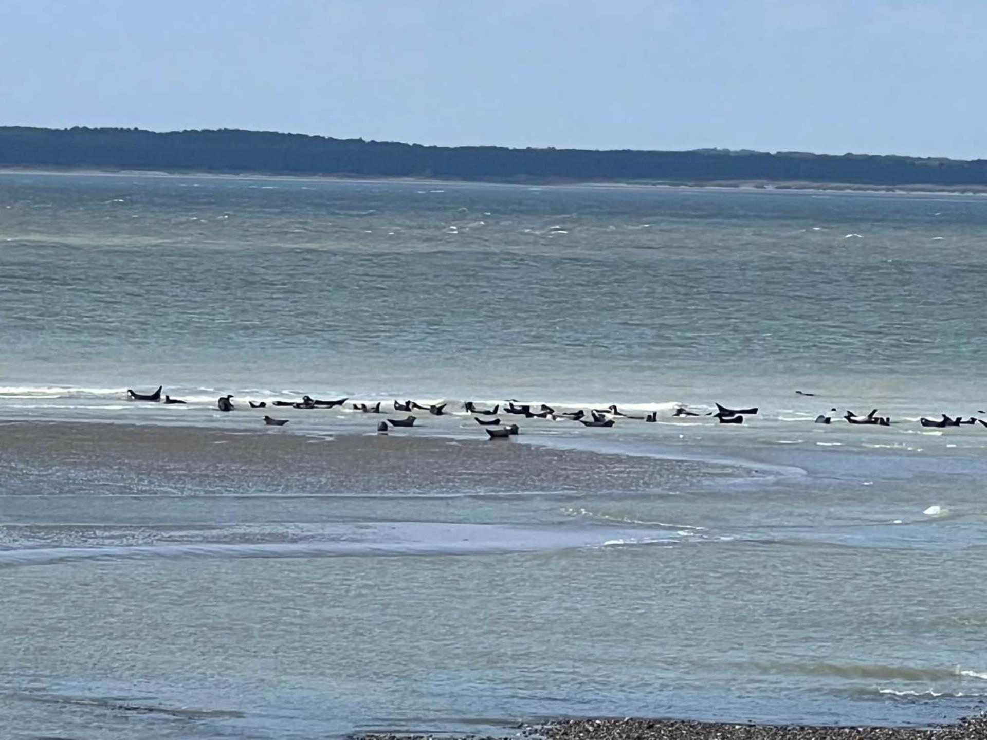 Caprices De Mer Appartement Avec Grand Balcon Et Vue A 300 M Plage, Apercu Mer, Lit Queen Size, Mers Les Bains Le Treport , Petit Dejeuner En Option, 2 Velos Fournis Zewnętrze zdjęcie